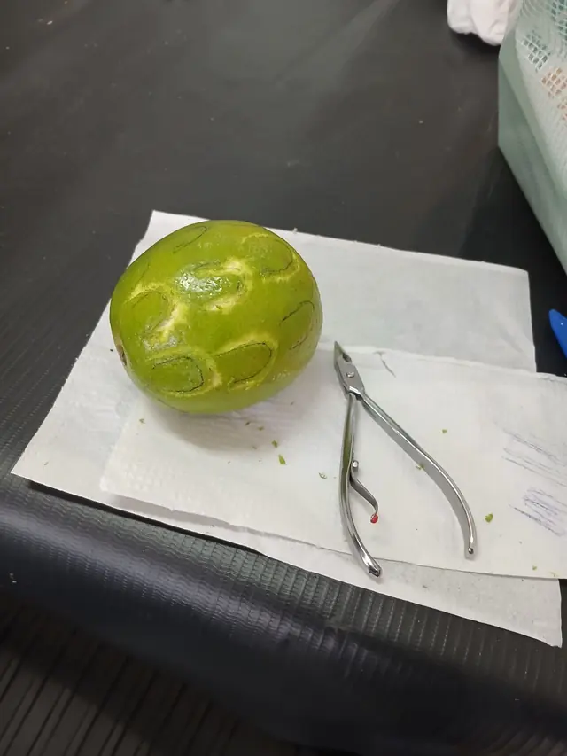 Instrumento profissional utilizado nas atividades do curso